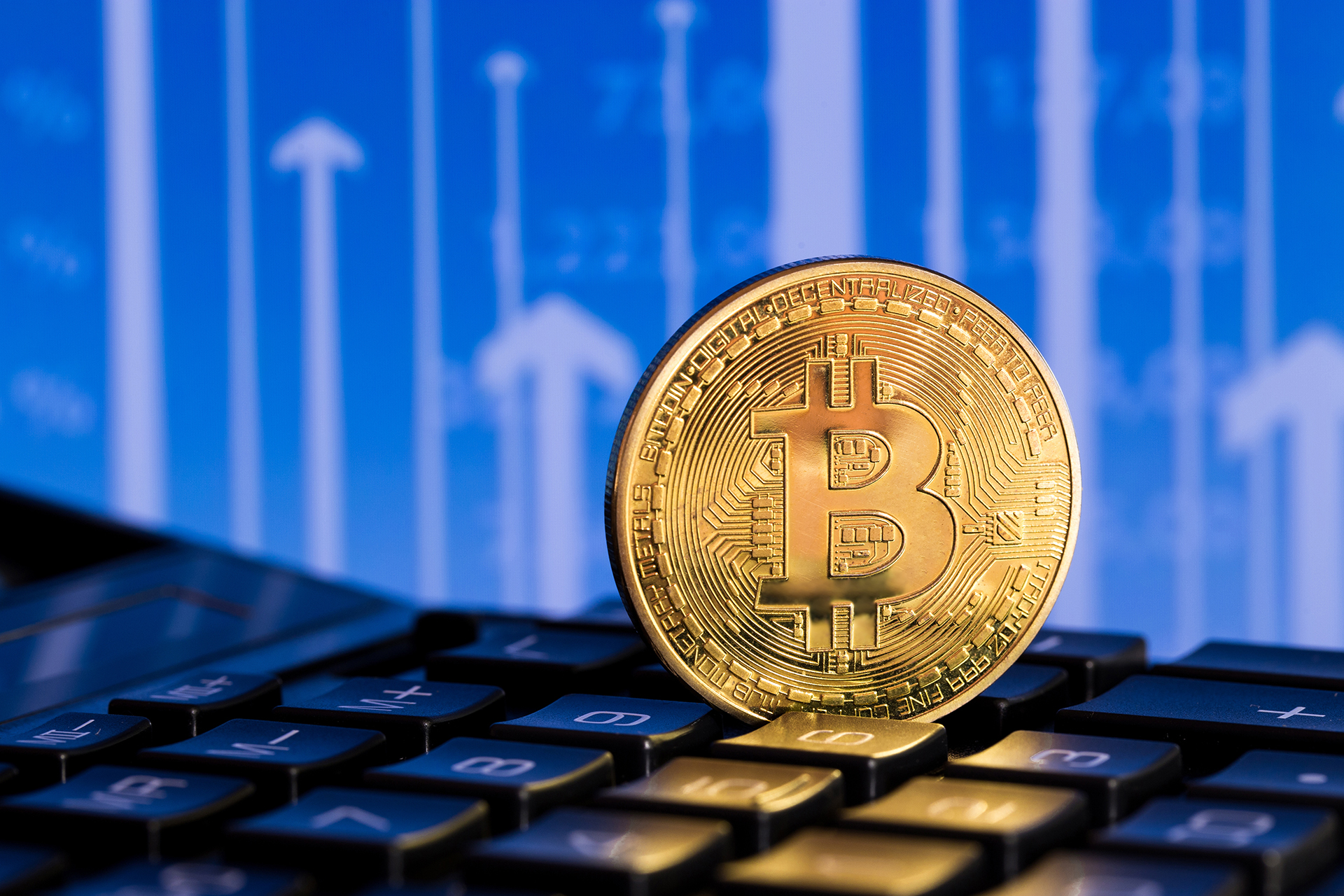 Invest in bitcoin now or wait